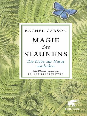 cover image of Magie des Staunens